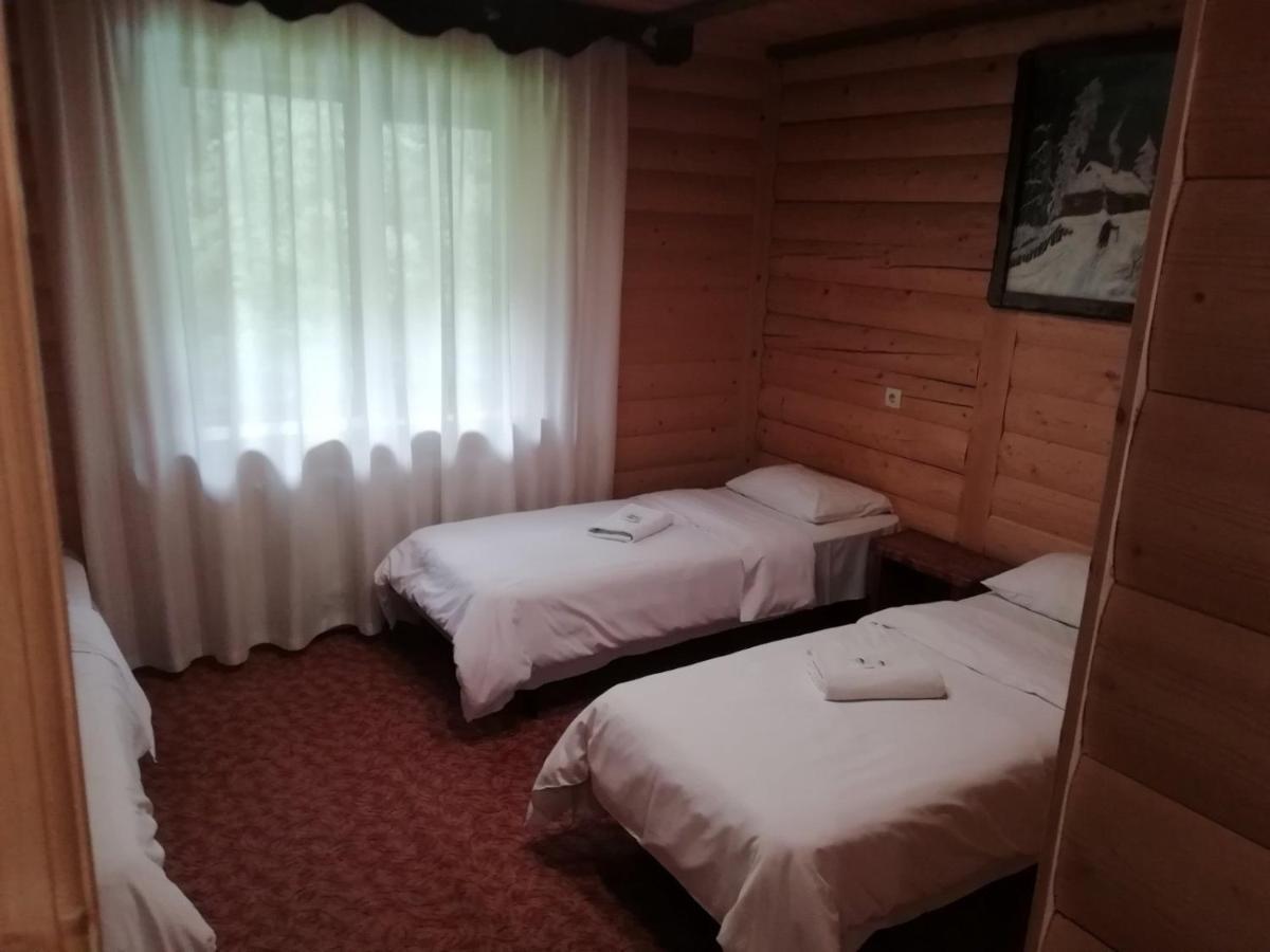 Cheremosh Яблоница Экстерьер фото