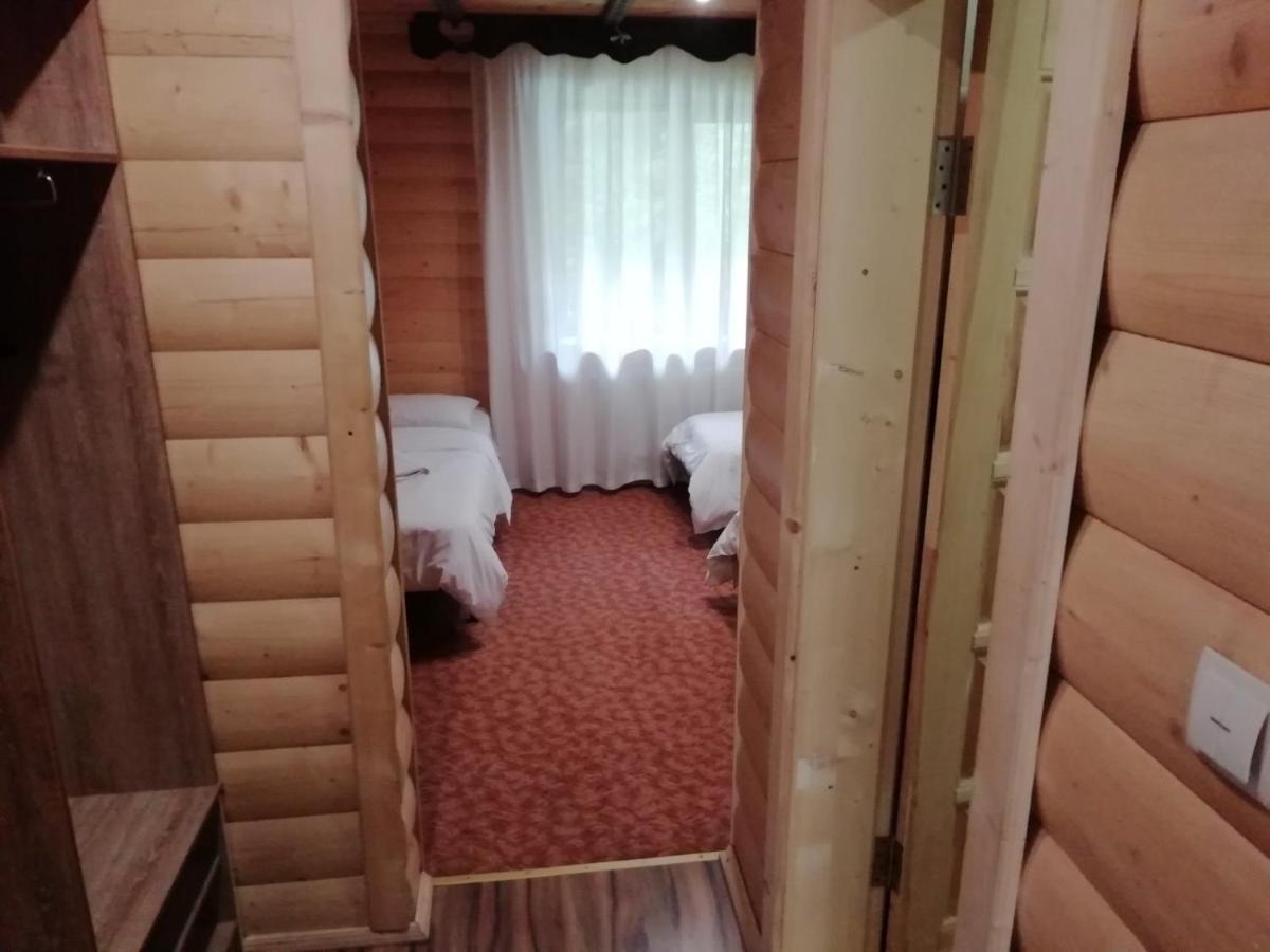 Cheremosh Яблоница Экстерьер фото