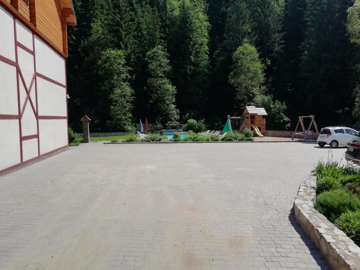 Cheremosh Яблоница Экстерьер фото