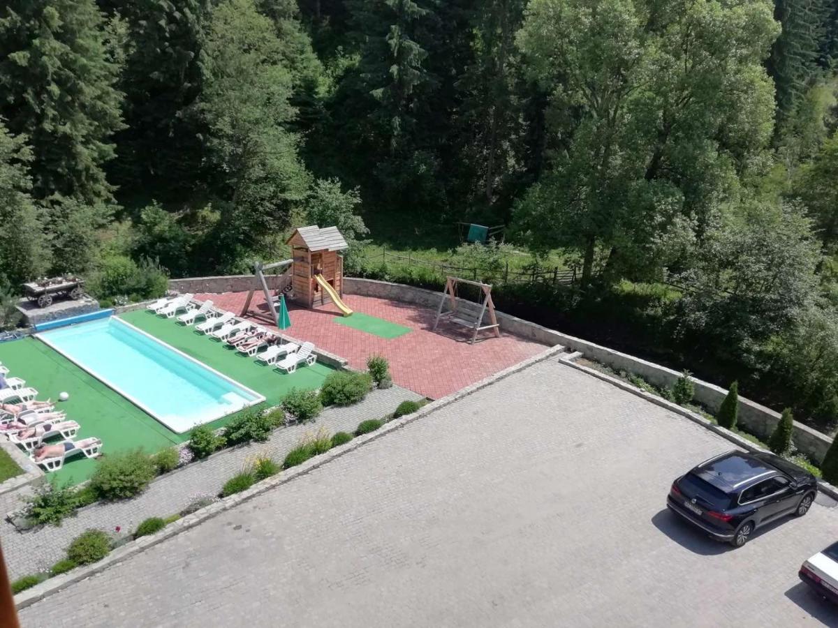 Cheremosh Яблоница Экстерьер фото