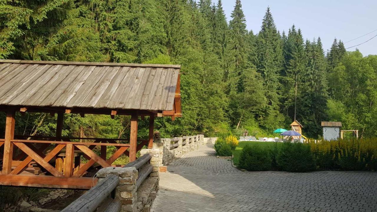 Cheremosh Яблоница Экстерьер фото
